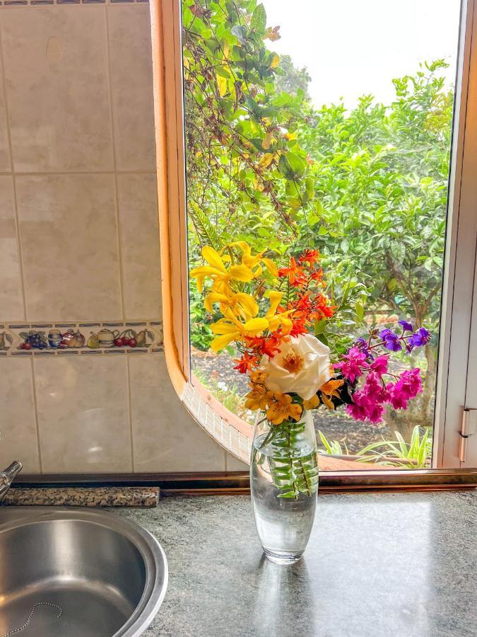 Canarian Cottage With Terrace Surrounded By Garden - Alisios ลาโอโรตาวา ภายนอก รูปภาพ