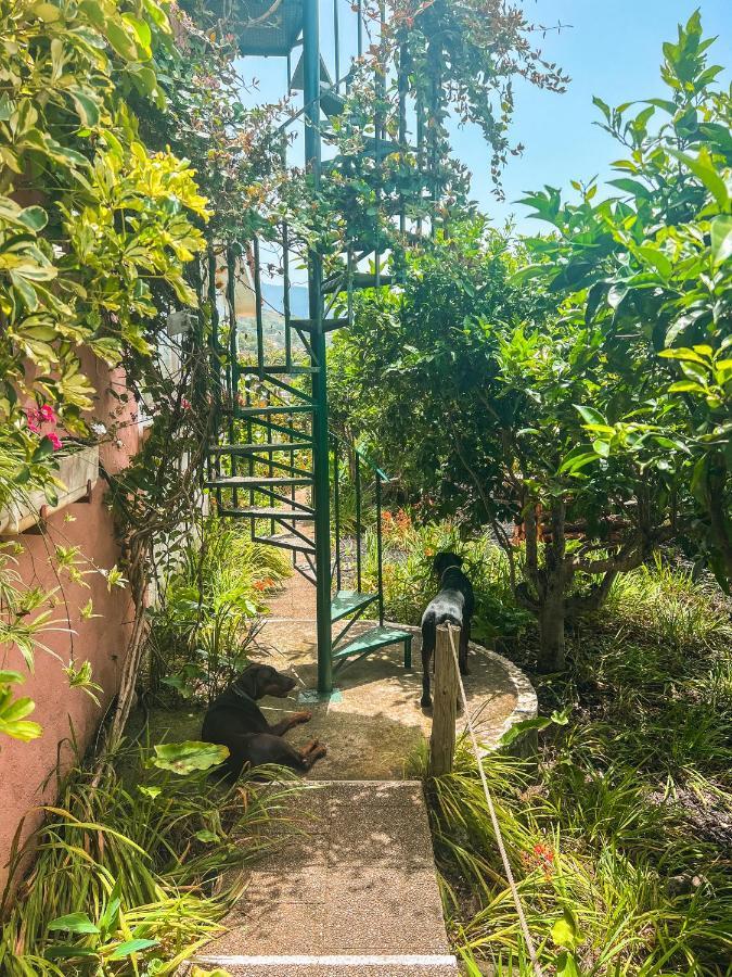 Canarian Cottage With Terrace Surrounded By Garden - Alisios ลาโอโรตาวา ภายนอก รูปภาพ