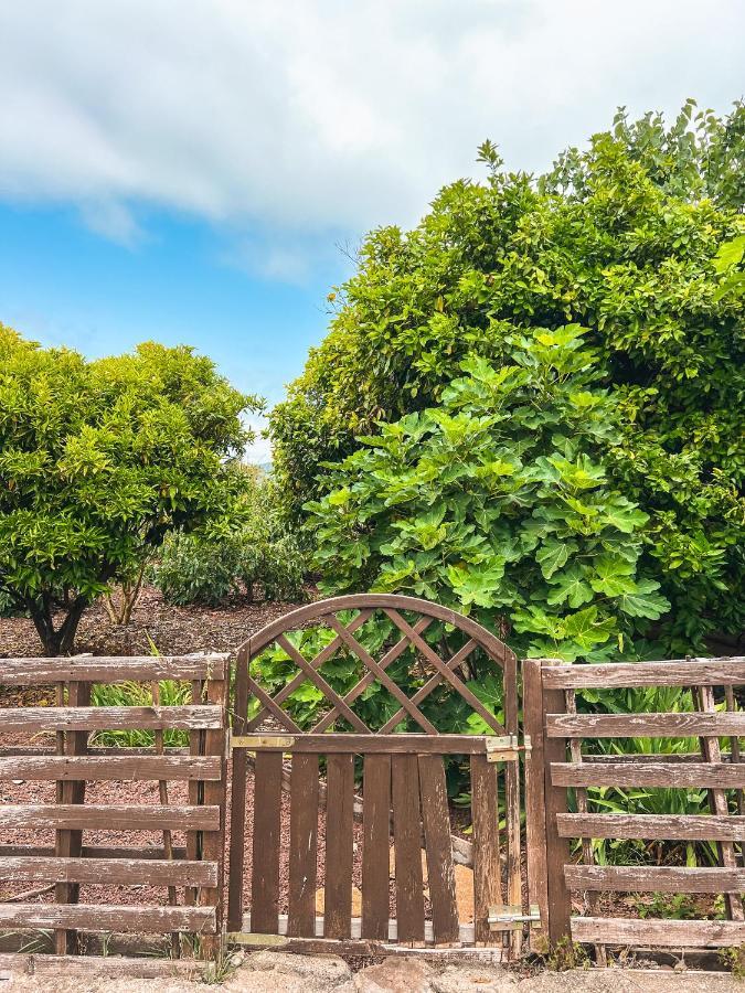 Canarian Cottage With Terrace Surrounded By Garden - Alisios ลาโอโรตาวา ภายนอก รูปภาพ